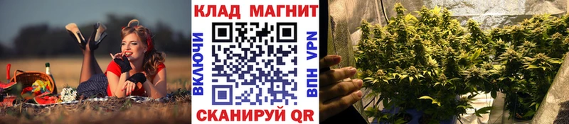 Виды наркоты Первомайск MDMA  A PVP  Мефедрон  COCAIN  Гашиш  АМФ 