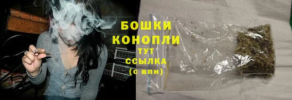 прущие крисы Арсеньев