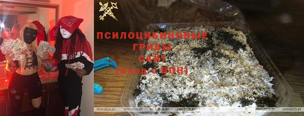 бошки Армянск